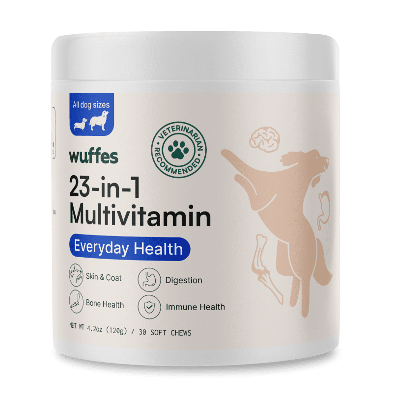 23 in 1 Multivitamin